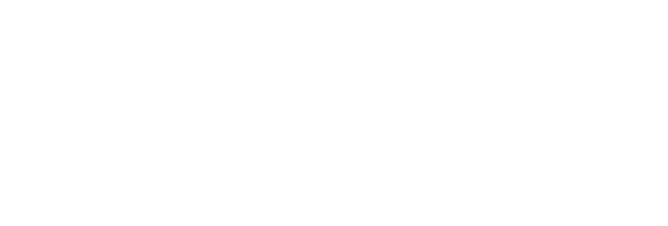 The VYBES Collective
